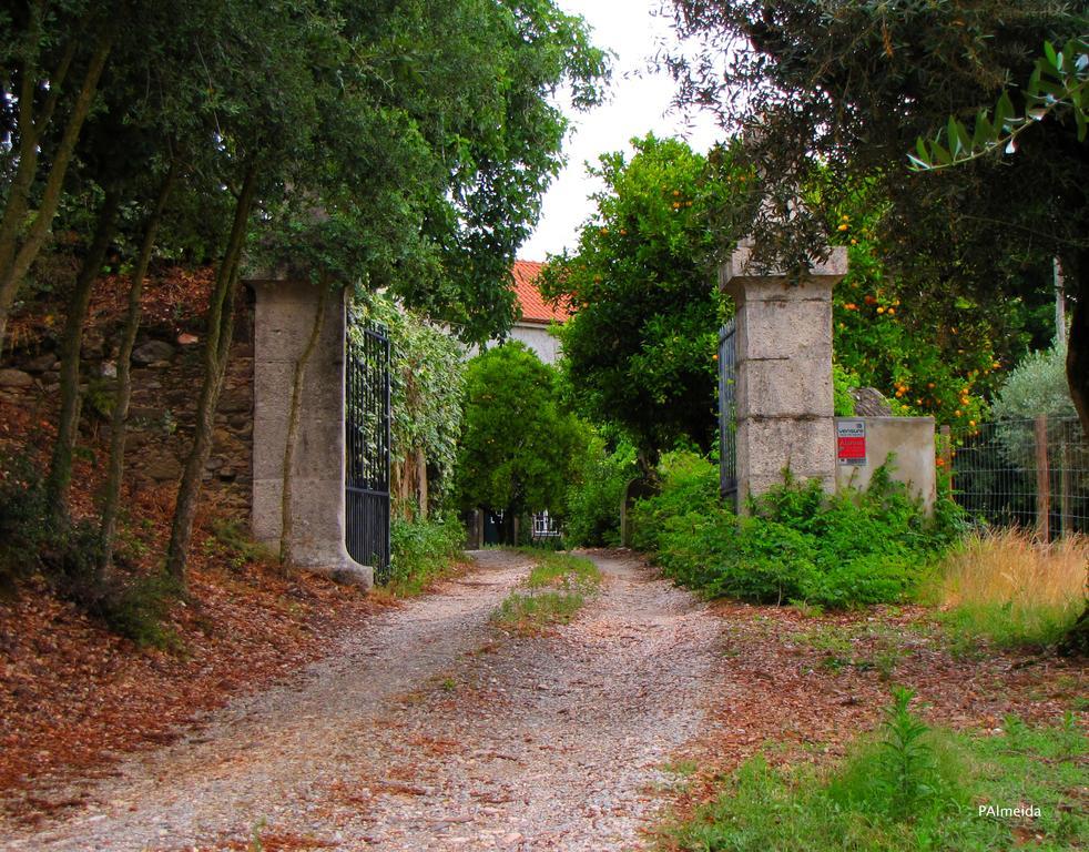 Ferreira do Zêzere Quinta Do Cerquitoヴィラ エクステリア 写真