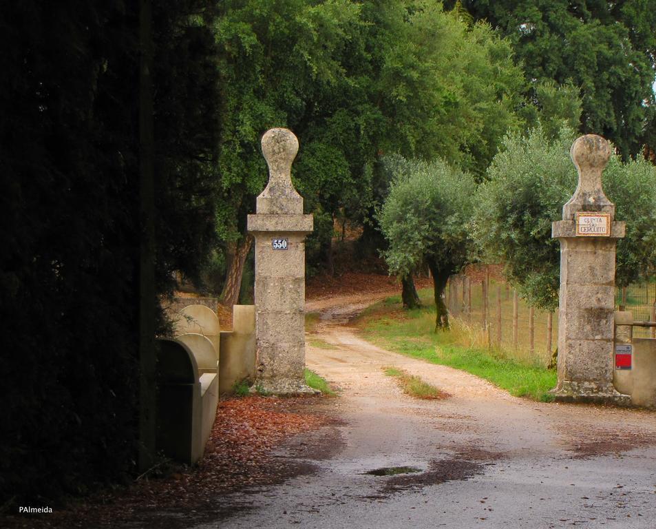 Ferreira do Zêzere Quinta Do Cerquitoヴィラ エクステリア 写真