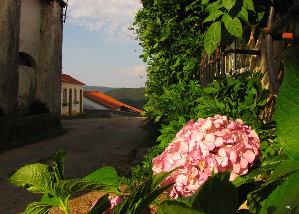 Ferreira do Zêzere Quinta Do Cerquitoヴィラ エクステリア 写真