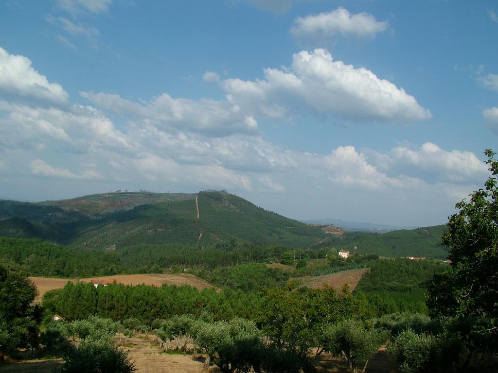 Ferreira do Zêzere Quinta Do Cerquitoヴィラ エクステリア 写真