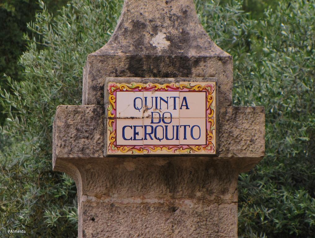 Ferreira do Zêzere Quinta Do Cerquitoヴィラ エクステリア 写真