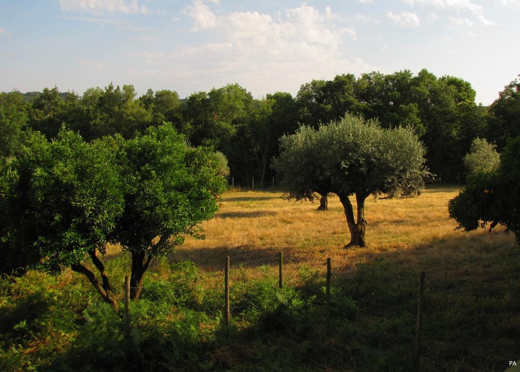Ferreira do Zêzere Quinta Do Cerquitoヴィラ エクステリア 写真