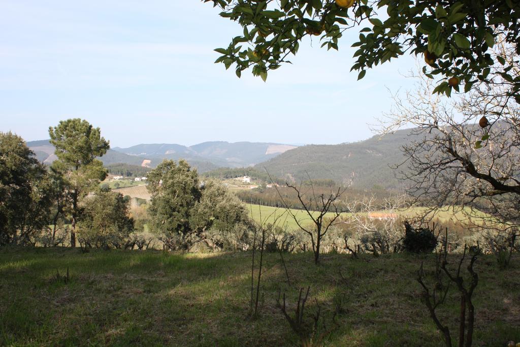 Ferreira do Zêzere Quinta Do Cerquitoヴィラ エクステリア 写真