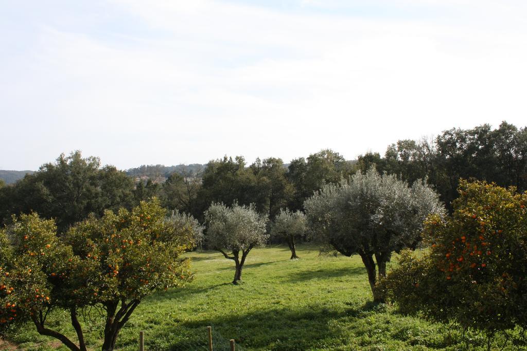 Ferreira do Zêzere Quinta Do Cerquitoヴィラ エクステリア 写真