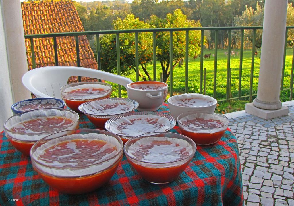 Ferreira do Zêzere Quinta Do Cerquitoヴィラ エクステリア 写真